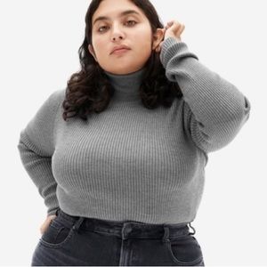 EVERLANE Merino wool turtleneck sweater